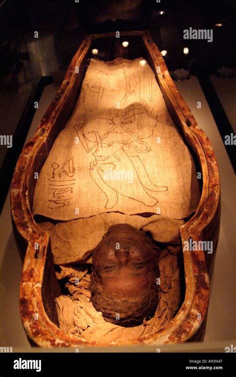 amun ra mummy